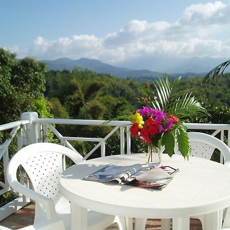 Tranquility Villa 포트안토니오 외부 사진